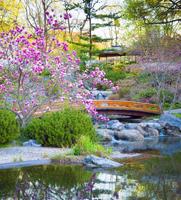 پوستر Garden Wallpaper