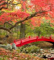 برنامه‌نما Garden Wallpaper عکس از صفحه