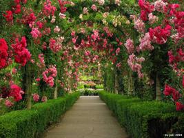 Garden Wallpaper পোস্টার