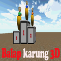 Balap Karung 3D