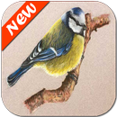 Pastel Drawing Tutorials APK