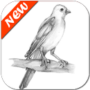 Pencil Sketch Tutorial APK