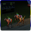 3D Horse Racing Manager 2016