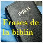 Frases - biblia reina valera icône