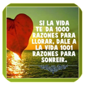 Frases de vida
