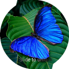 Butterfly Lock Screen Pro icono