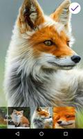 Fox Beautiful Lock Screen Ekran Görüntüsü 3