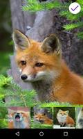 Fox Beautiful Lock Screen syot layar 1