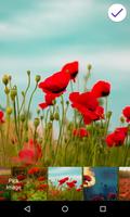 Écran de verrouillage des coquelicots capture d'écran 2