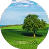 Baumsperrbildschirm APK