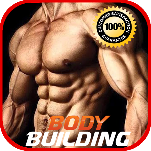 Bodybuilding Workout