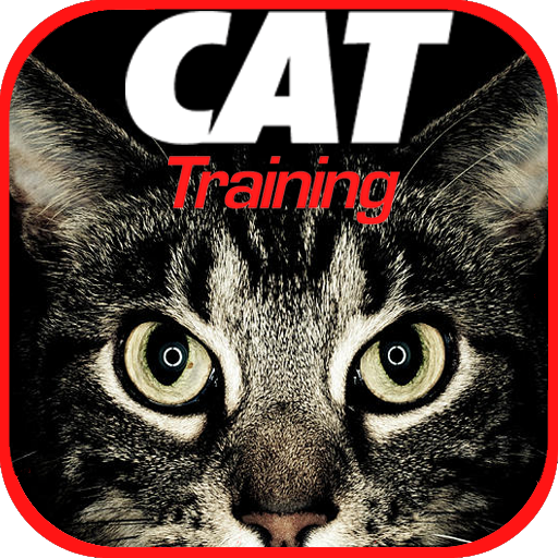 Cat Training