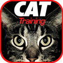 Cat Training APK