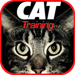 Cat Training