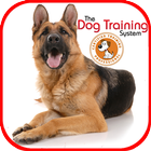 آیکون‌ Dog Training