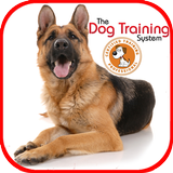 APK Dog Training