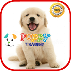 Puppy Training أيقونة