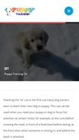 Puppy Training screenshot 1