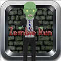 Stupid Zombie Village