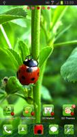 Ladybird Theme for GO Launcher Affiche
