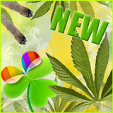 Rasta Theme v2 for GO Launcher icône