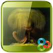 Fairytale Forrest Launcher
