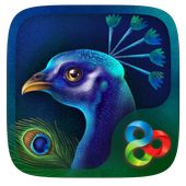 Glowing Peacock Launcher Theme ไอคอน