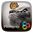 Photography GO Launcher Theme icône