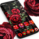 APK Real Red Roses Launcher Theme
