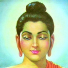 ikon gautam buddha wallpaper hidup
