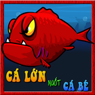 Ca Lon Nuot Ca Be (VN) icon