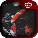 APK Fish Koi Wallpaper