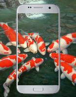Fish Koi Wallpaper Affiche