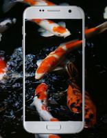 Fish Koi Wallpaper تصوير الشاشة 1