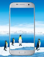 Penguin Cute Wallpaper स्क्रीनशॉट 1