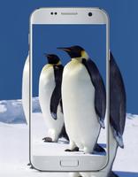 Penguin Cute Wallpaper تصوير الشاشة 2