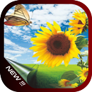 APK Sunflower Park Wallpaper