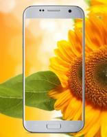 Sunflower Park Wallpaper captura de pantalla 3