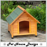 Thiết kế nhà Pet độc đáo