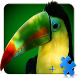 Pájaro LWP + Juegos Puzzle icono