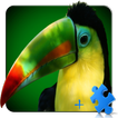 Oiseau LWP + Jeux Puzzle