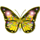 Butterflies Puzzle + Wallpaper APK