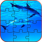 Dolphins LWP + Games Puzzle icône