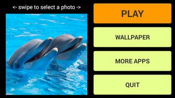 Dolphins LWP + Games Puzzle Affiche