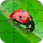 Ladybug Puzzle Game simgesi
