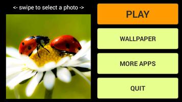 Ladybug Puzzle Game gönderen