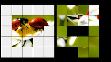 Ladybug Puzzle Game Ekran Görüntüsü 1