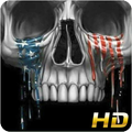 Skull Wallpaper