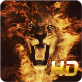 Icona Fire Animal Wallpaper