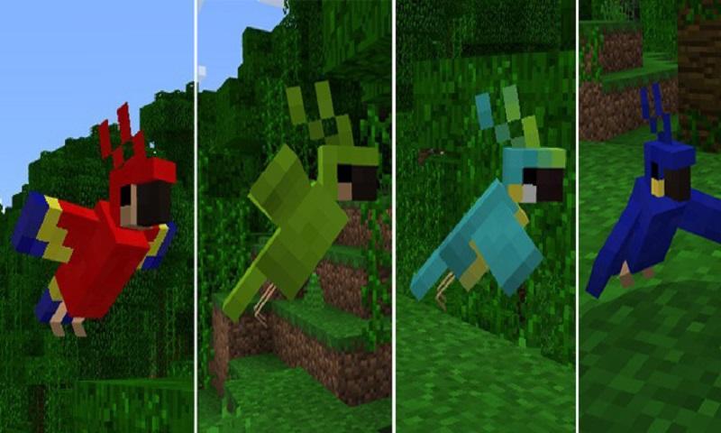 Mod Parrots For Mcpe For Android Apk Download